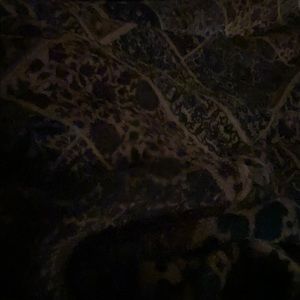 Meet your Posher, Jaden